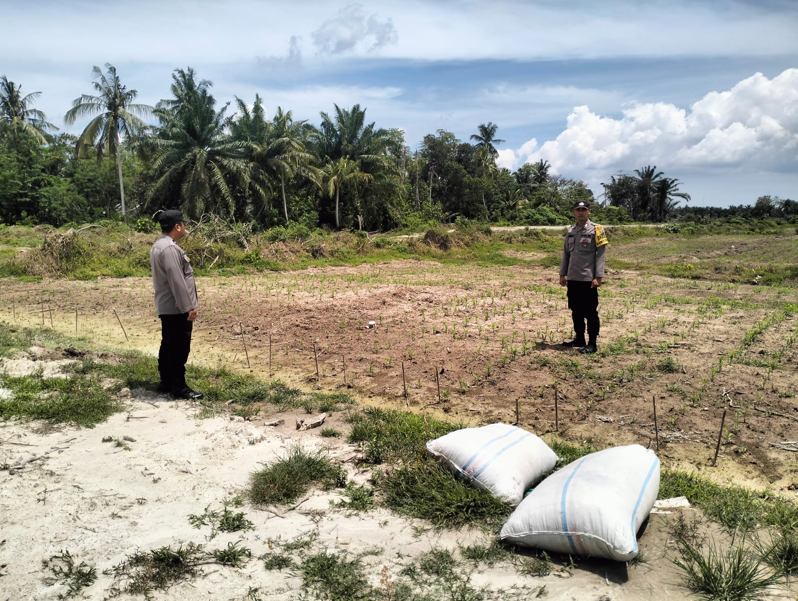 BHABINKAMTIBMAS POLSEK KOTA KISARAN LAKUKAN PENGECEKAN LAHAN JAGUNG DALAM PROGRAM KETAHANAN PANGAN